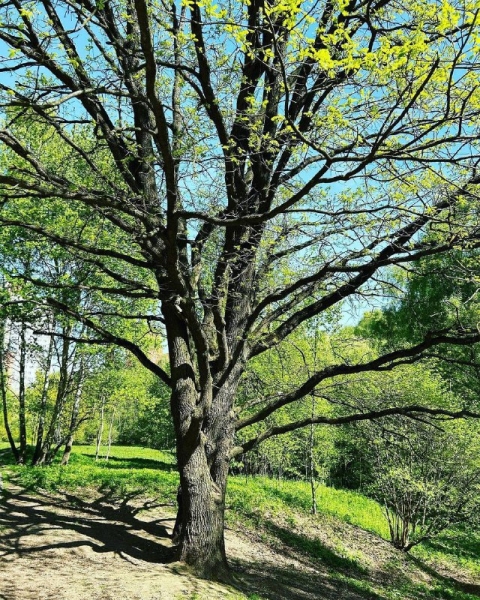 photo_2023-07-12_10-20-43