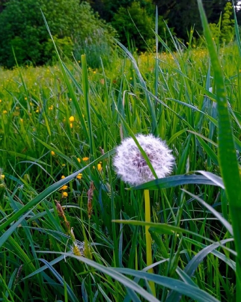 photo_2023-07-12_10-20-43