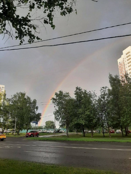 photo_2023-07-15_06-45-12