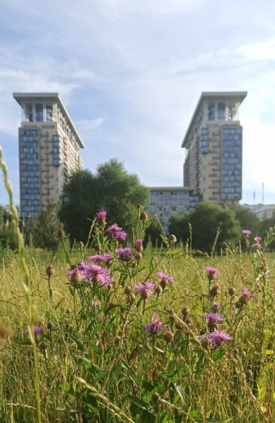 фото Ясенево (1)