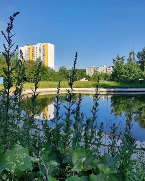 фото Ясенево (1)