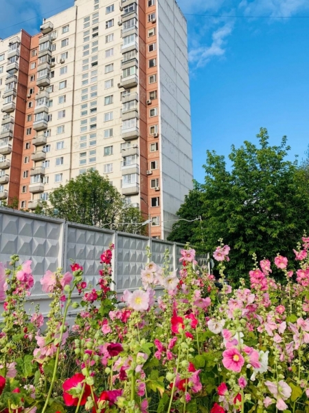 фото Ясенево (1)