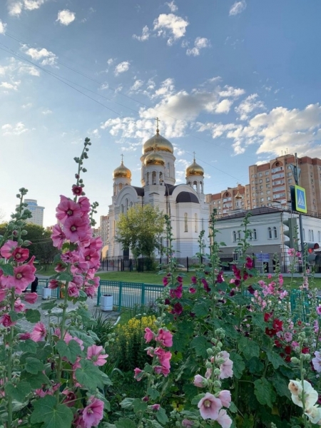 photo_2023-05-25_05-26-40
