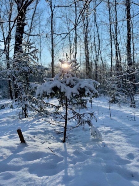 photo_2025-02-19_21-58-16 (5)