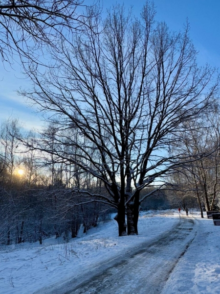 photo_2025-02-19_21-58-16 (5)