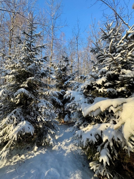 photo_2025-02-19_21-58-16 (5)