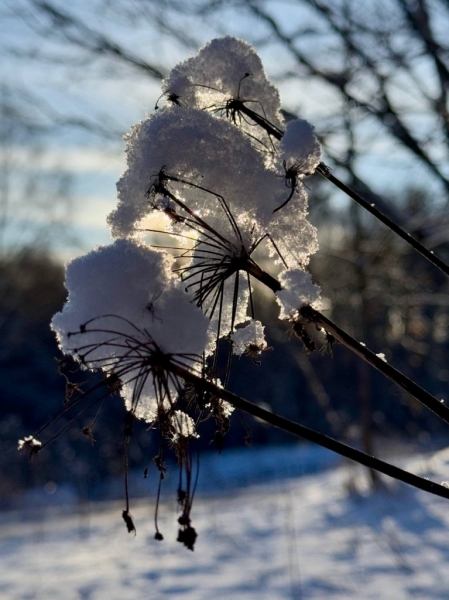 photo_2025-02-19_21-58-16 (5)