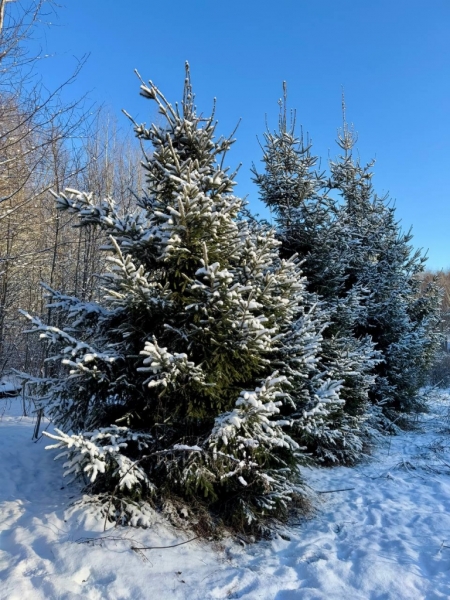 photo_2025-02-19_21-58-16 (5)