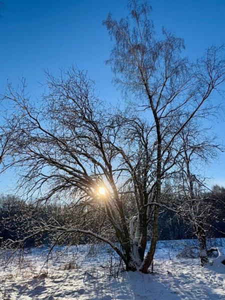 photo_2025-02-19_21-58-16 (5)