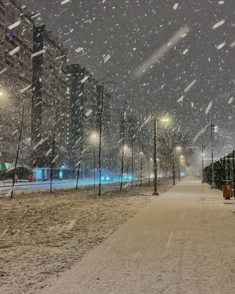 photo_2025-02-19_10-18-21