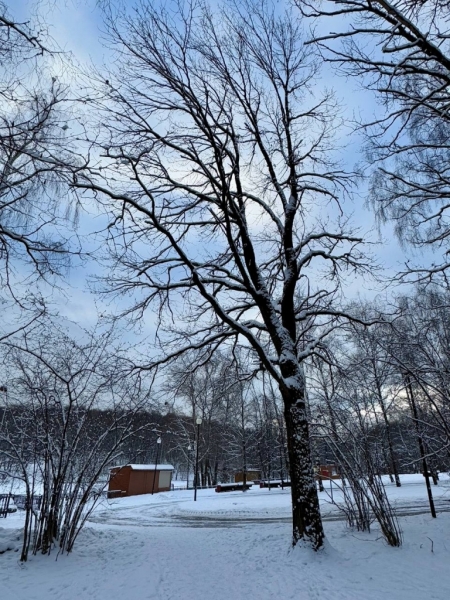 photo_2025-02-21_11-43-24