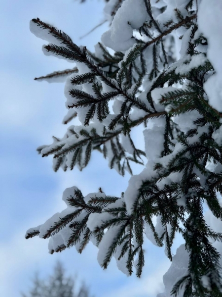 photo_2025-02-21_11-43-24