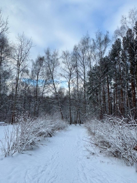 photo_2025-02-21_11-43-24