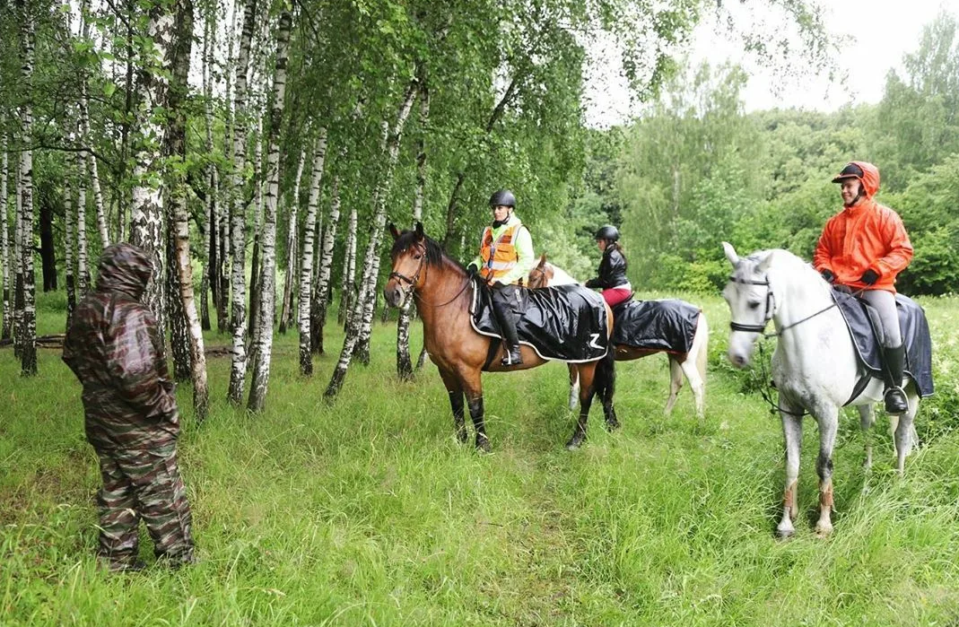 конный двор усадьбы в Узком.png