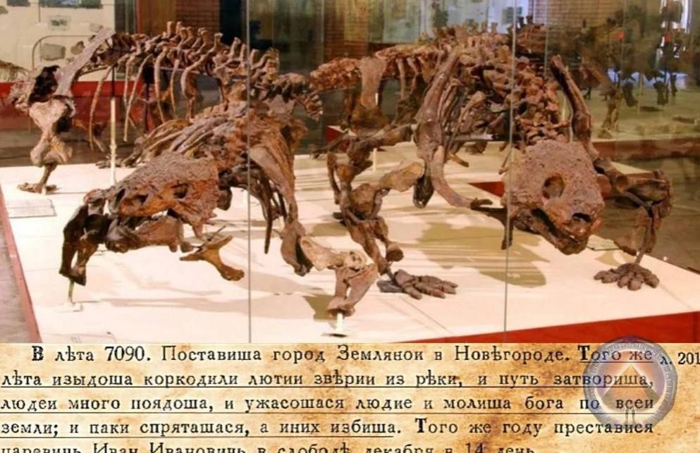 палеонотлогический музей.jpg