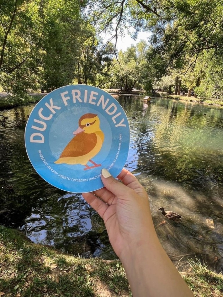 duck friendly.jpg