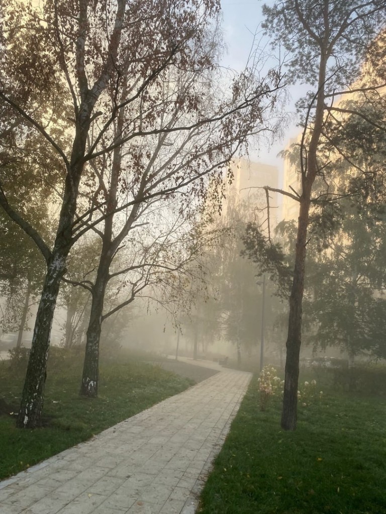 туман гагаринский 3.jpg
